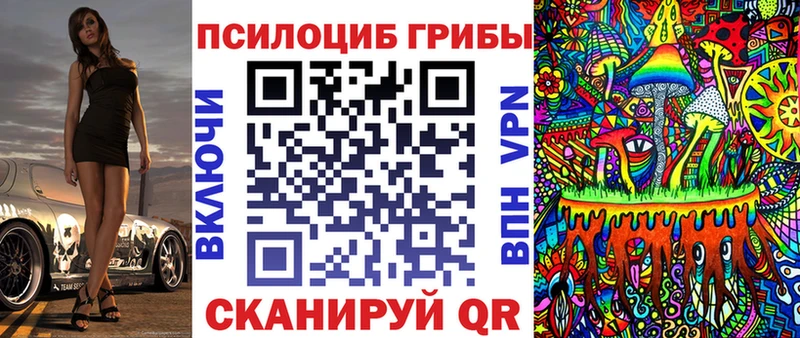 Галлюциногенные грибы Psilocybe  купить наркоту  Ржев 